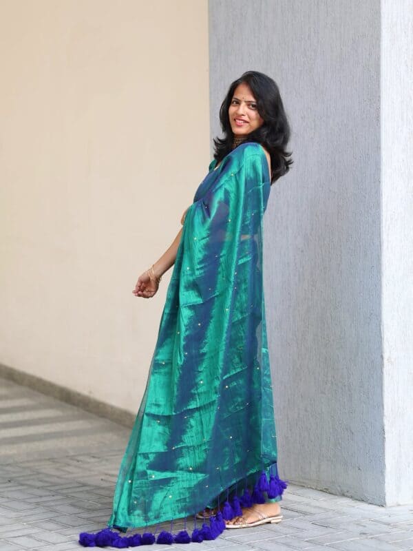 Premium Khadi Tissue Gini Work Saree | Elegant Traditional Sarees Online
